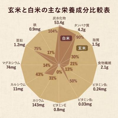 ふるさと納税 瑞穂町 オーガニック酵素玄米|ベーシックタイプ×6袋セット|長期保存可能、防災食・備蓄用にも|栄養豊富なご飯 |  | 03
