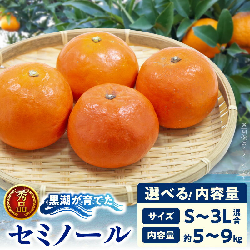 【ふるさと納税】【限定】 黒潮が育てた セミノール 選べる 内容量 約 5kg 9kg S ～ 3L サイズ混合 オレンジ 和歌山県 湯浅町 送料無料