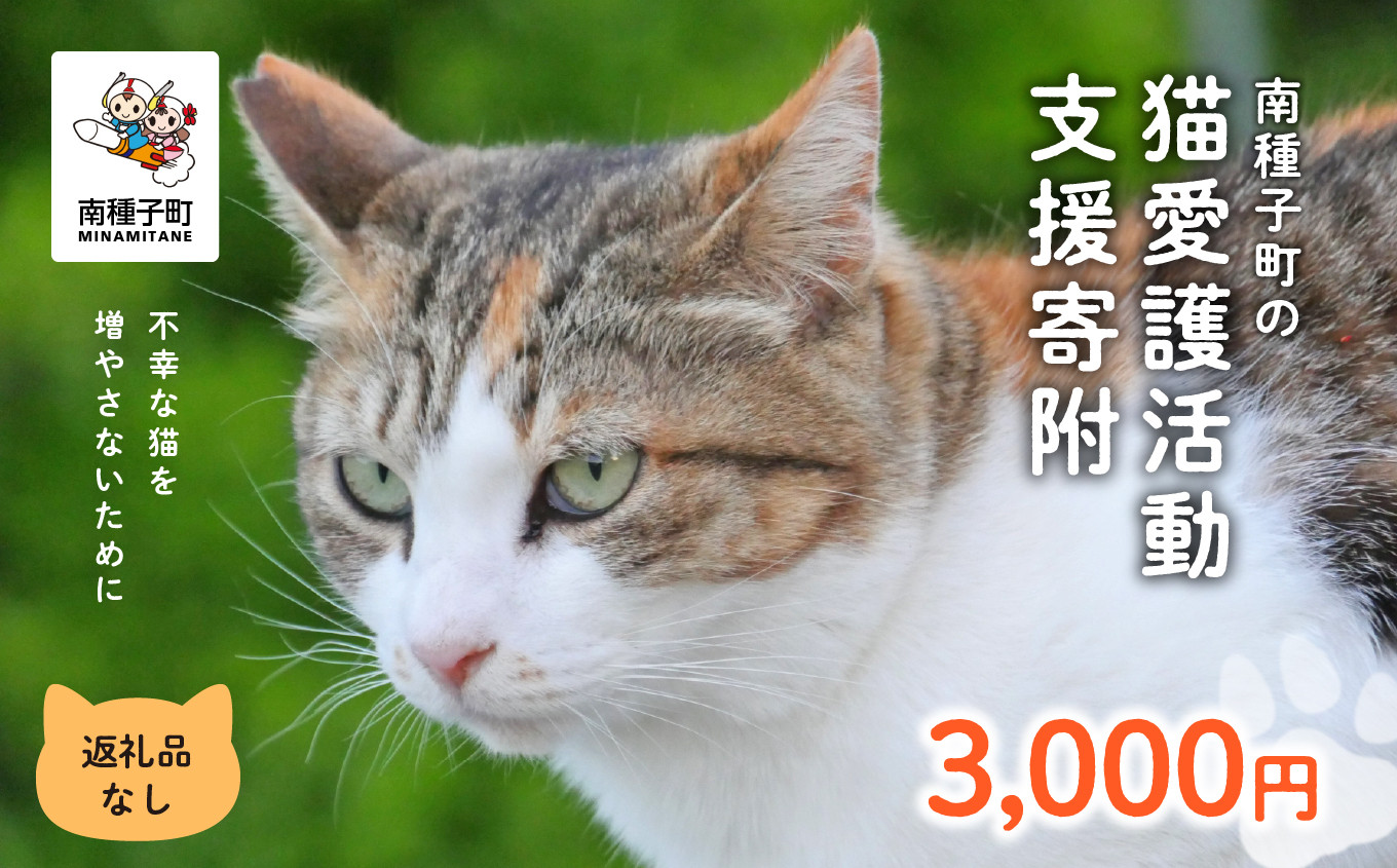 
                  ★ 《返礼品なし》 猫愛護活動支援 8,000円 猫ちゃん 猫 ねこ 動物 保護 愛護 保護活動 応援 支援 寄付 南種子町 鹿児島 かごしま
                