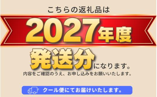 【2027年 先行予約】 シャインマスカット 2～3房（約1.0kg）  ｜ 山梨 やまなし 山梨県産 葡萄 ブドウ フルーツ 果物 くだもの シャイン マスカット プレゼント ギフト ぶどう  デザート スイーツ しゃいんますかっと