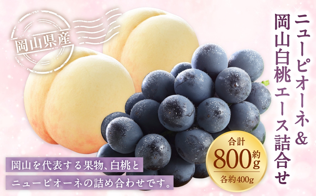 
                  岡山県産 岡山白桃 エース Lサイズ 約200g×2玉・ ニューピオーネ 約400g×1房 詰合せ ぶどう ブドウ 葡萄 くだもの 果物 果実 フルーツ 国産 白桃 モモ もも 桃 家庭用 ギフト 贈り物 贈答 【 2026年7月上旬～8月下旬発送予定 】
                