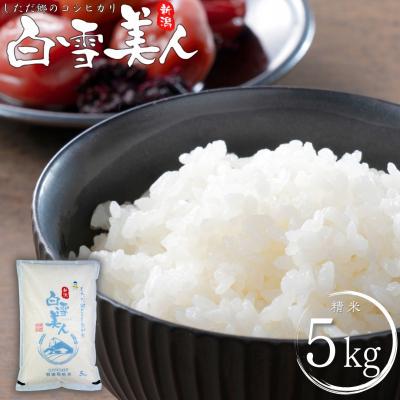 ふるさと納税 三条市 令和7年産米 特別栽培米 下田産コシヒカリ 白雪美人 精米 5kg【011S096】