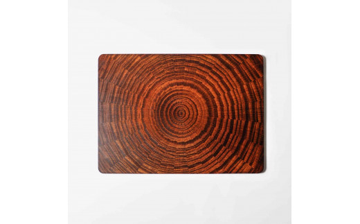 RAYS PLATE Rectangle 漆 １枚 ｜トレー プレート お皿 皿 食器 インテリア