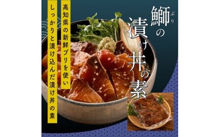 海鮮 漬け丼 3種類 食べ比べセット 真鯛 ぶり かんぱち 支援 冷凍 保存食 海鮮 小分け パック 漬け 本場 高知 海鮮丼 パパッと 簡単 惣菜 そうざい 一人暮らし 人気 5000円 〈高知市共