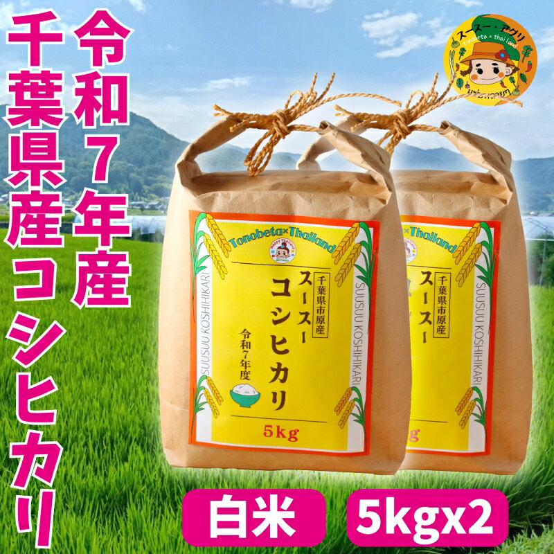 【ふるさと納税】お米 千葉県市原市 スースーコシヒカリ 10kg (5kgx2) 米 コメ 白米 コシヒカリ こしひかり ふっくら 甘み 上品な香り 冷めても美味しい 市原市 千葉県