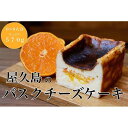 【ふるさと納税】屋久島の手作りバスクチーズケーキ （たんかん） | チーズ ケーキ スイーツ デザート お菓子 洋菓子 おかし 果物 くだもの フルーツ 柑橘 レモン お取り寄せ グルメ 人気 おすすめ 鹿児島県