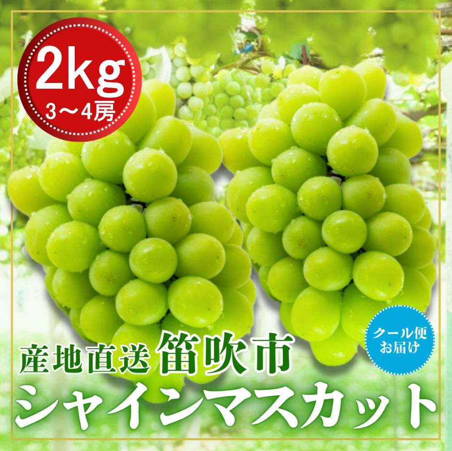 
            笛吹市からクール便発送 シャインマスカット 2㎏ 3～4房　ふるさと納税 ぶどう シャインマスカット 笛吹市 国産 人気 期間限定 果物 フルーツ 旬 山梨県 送料無料 226-011
          