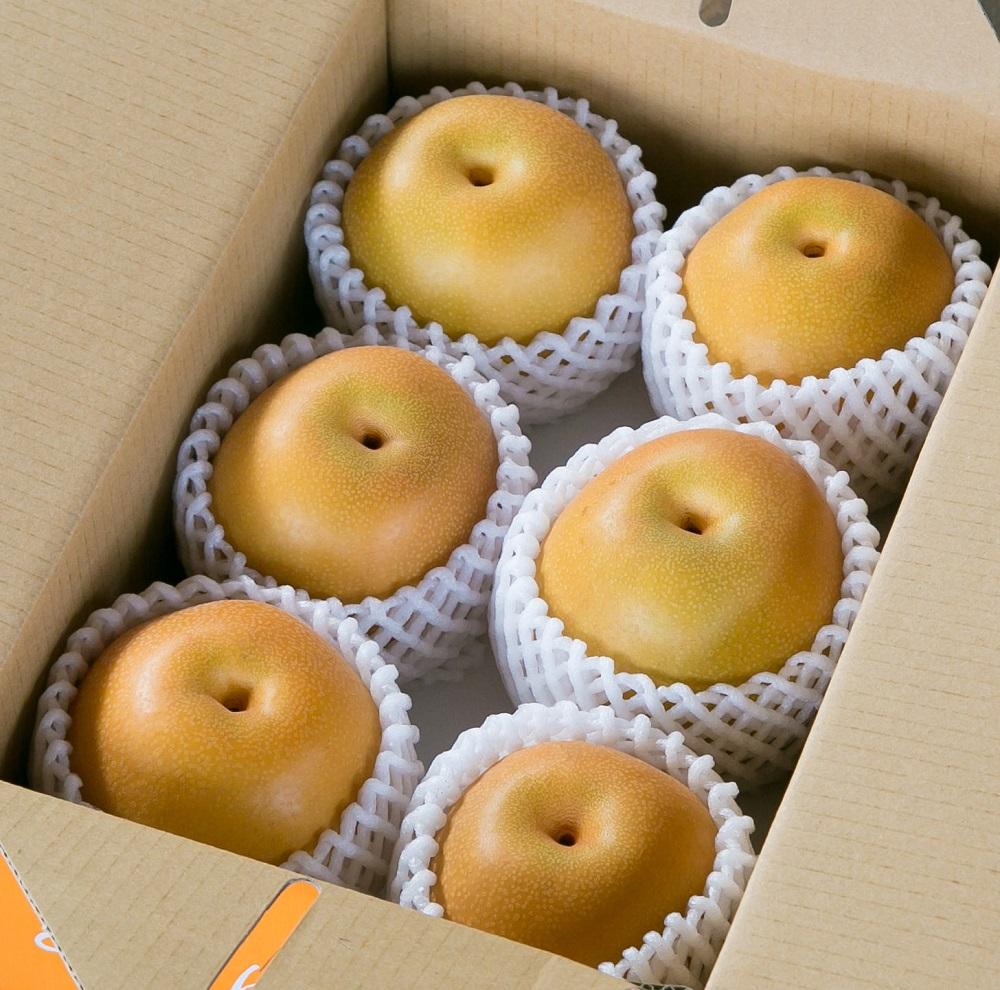 ジューシー果汁の紀州有田産の梨約２kg 　化粧箱入【先行予約】【2025年8月下旬以降発送予定】 AN029_イメージ3