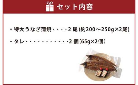 ＜ R8年熊本地震復興支援 ＞熊本産 特大うなぎ蒲焼【阿蘇夢鰻（アソロマン）】2尾 鰻 蒲焼