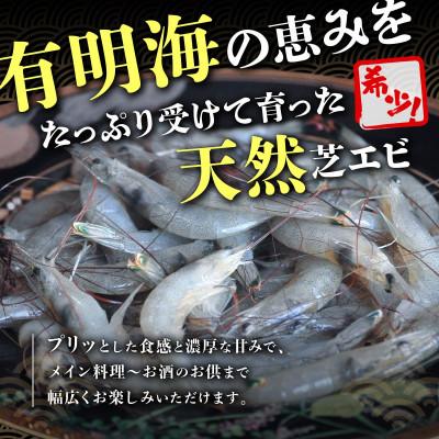 ふるさと納税 鹿島市 冷凍芝エビ(真エビ)1kg(500g×2パック) |  | 01