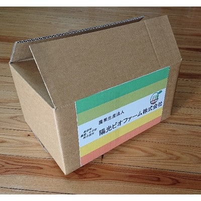 陽光ビオファームの「体が喜ぶ」7種の野菜セット(冬季)【配送不可地域：離島・北海道・沖縄県】