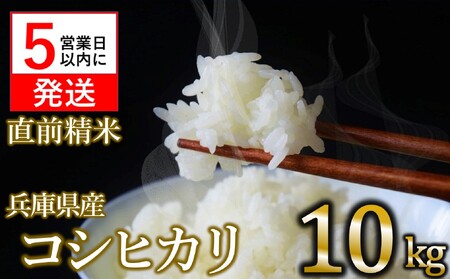 【数量限定】令和6年産 コシヒカリ 白米10kg　【5営業日以内発送】(24-20)
