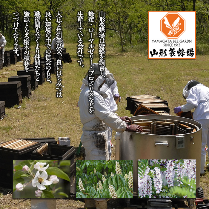 【純粋蜂蜜】 混花蜜 2400g FZ23-900