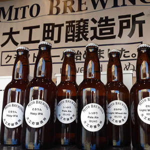 第１回水戸さきがけビジネス大賞 優秀賞受賞！【ぬりや】クラフトビール　6本詰め合わせ（GW-1）