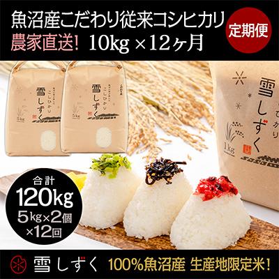 ふるさと納税 十日町市 【毎月定期便】魚沼産こだわり従来コシヒカリ【合計120kg】毎月10kg全12回
