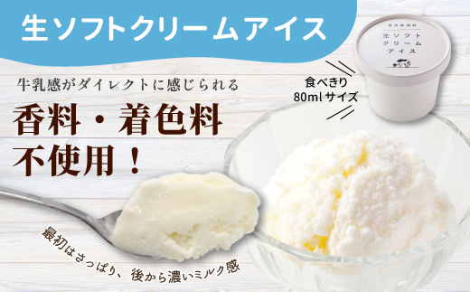 〈スピード発送〉1日最高800個売れた！ソフトクリームを再現★生ソフトクリームアイス(80ml)×16個