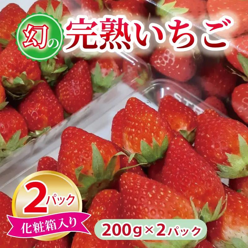 【特別規格】朝摘み完熟いちご 2パック 先行予約