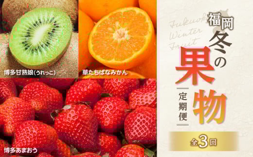 福岡冬の果物定期便【全3回】冬のお届け便　JAふくおか八女からお届け！！ みかん ミカン キウイ あまおう いちご 苺 イチゴ フルーツ 果物 くだもの 人気 旬 福岡県産 アフター補償 数量限定 期間限定 産地直送 全3回 定期便 福岡県 八女市