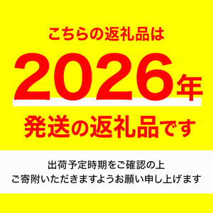＜先行予約！2026年7月上旬以降順次発送予定＞種ごと食べられる自根すいか中玉(2玉・計約7～8kg) 国産 果物 スイカ セット 【man370】【はざま篠原農産合同会社】
