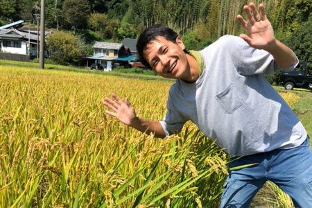 【期間限定発送】 米 令和7年 コシヒカリ 4.5kg [ご馳走畑 静岡県 吉田町 22424520] 令和7年産 お米 コメ 白米 おこめ こめ