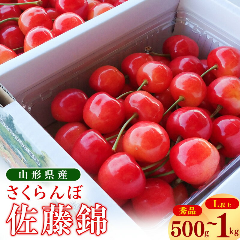 【ふるさと納税】 【先行予約】令和8年産 さくらんぼ 「 佐藤錦 」500g ~ 1kg 秀品 Lサイズ以上 2026年産 山形県産【2026年6月上旬頃〜下旬頃発送予定】 ※ 配送不可 沖縄・離島桜桃 お取り寄せ フルーツ 果物 高レビュー サクランボ 特産 産地 直送 人気 山形