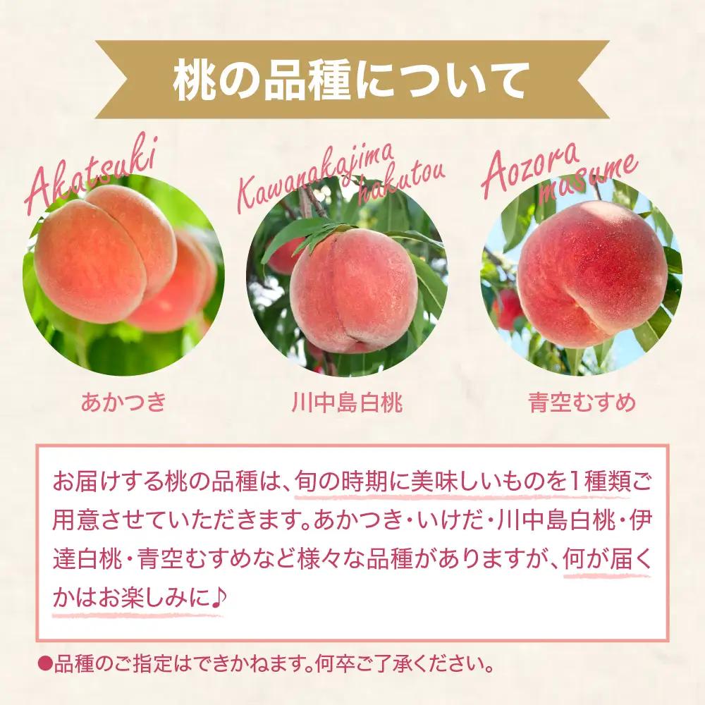 【2026年産先行予約】白桃(品種おまかせ)5kg 秀品 桃 白桃