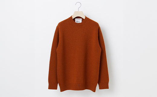 ≪先行予約≫【THISISASWEATER.】A1 : A SWEATER IS ORDINARY BROWN ブラウン カシミヤセーター 服 洋服 ユニセックス メンズ レディース ブランド 数量限定 山形県 山辺町 サイズ1 yt-soxxb1