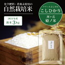 【ふるさと納税】割ケ岳 姫乃米3kg（信濃町精米令和6年度産コシヒカリ3kg1袋）新米