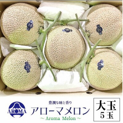 【ふるさと納税】【通年出荷】アローマメロン 白等級(大玉) 5玉入【配送不可地域：離島・北海道・沖縄県】【1170112】