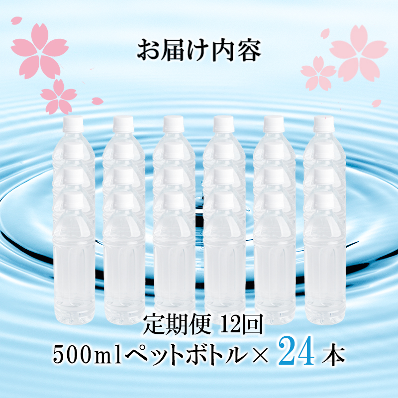 【桜屋】12回定期 シリカ天然水 「サクラシリカ」 500ml 24本 12回 計288本 シリカ含有量99mg/L シリカ水 ラベルレス 水 ミネラルウォーター 飲料水 飲料 ペットボトル ナチュラルウォーター サルフェート 炭酸水素イオン ミネラル 国産 阿蘇 小国郷