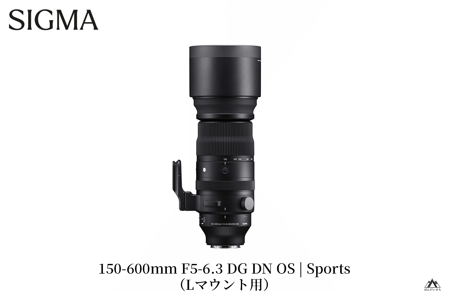 SIGMA 150-600mm F5-6.3 DG DN OS | Sports【Lマウント用】 | カメラ レンズ 家電