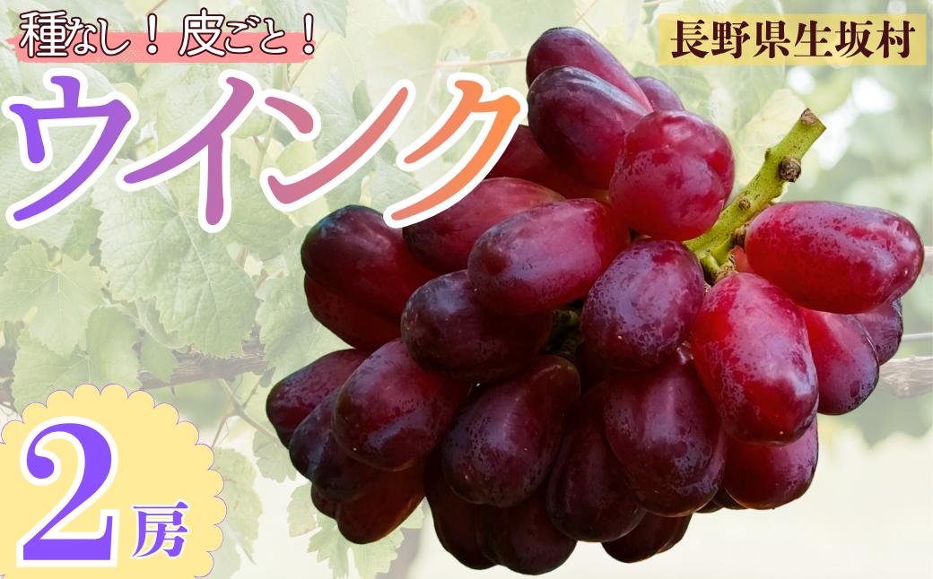 
                  ウインク　約1.1kg（２房）| ぶどう ブドウ 葡萄 皮ごと 種無し フルーツ 果実 長野県 生坂村
                