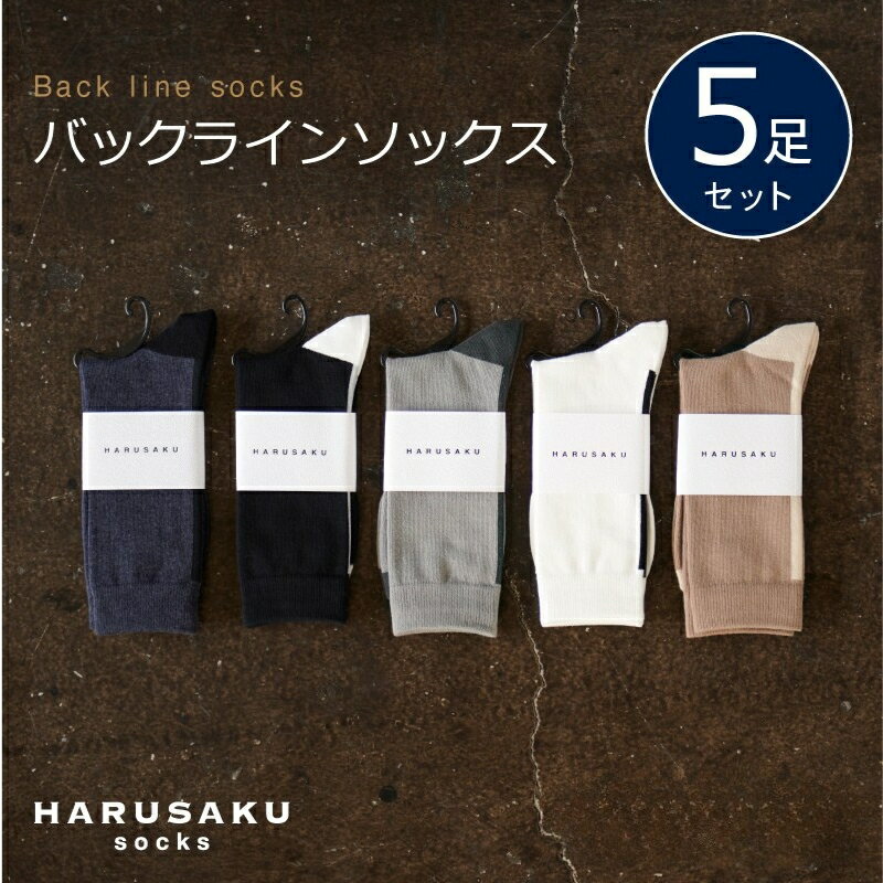 【ふるさと納税】HARUSAKU バックラインソックス 5足セット （23〜25cm / 25〜27cm / 27〜29cm） ／ ハルサク 靴下 メンズ 奈良県 葛城市