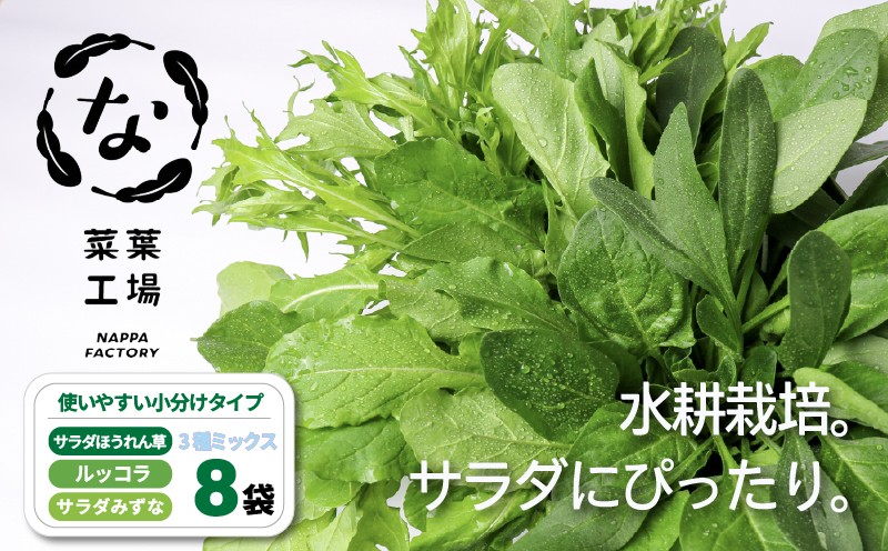 
                  葉野菜 サラダ 3種ミックス ルッコラ ほうれん草 みずな なっぱトリオ | ほうれんそう ホウレンソウ 水菜 ミズナ 生食 野菜 セット 新鮮 健康 人気 おすすめ 高知県 南国市
                