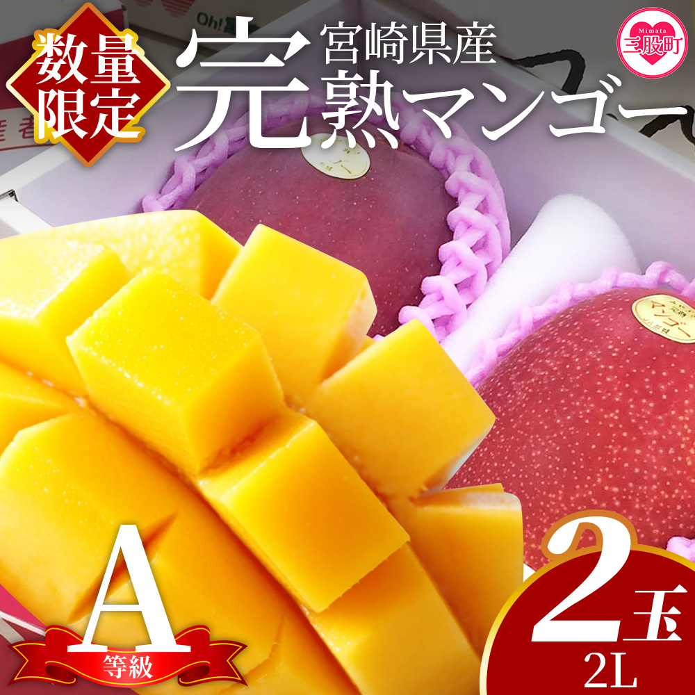 ＜【先行予約】【期間数量限定】2026年5月より順次発送 宮崎県産完熟マンゴー2L 2玉化粧箱入＞(2玉入り)【MI515-yk】【みまたんよかもん協同組合】マンゴー フルーツ デザート 甘い 果物 くだもの 季節限定 贅沢
