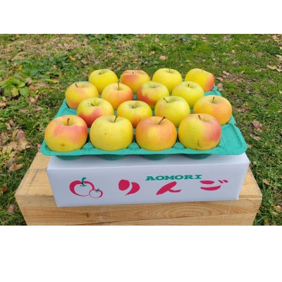 
                  ＜訳あり＞青森県産りんご「家庭用ぐんま名月家庭用」約5kg　産地直送!【1751603】
                