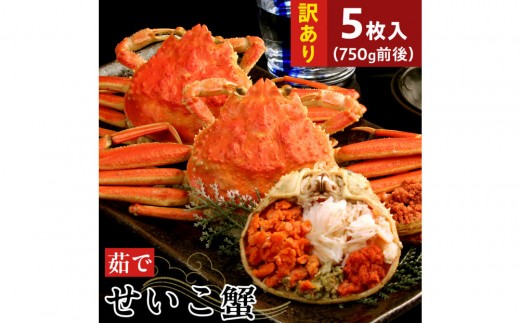 【11月中旬以降発送】訳あり 浜茹でせいこ蟹×5枚（750g前後）【鳥取県 境港市】