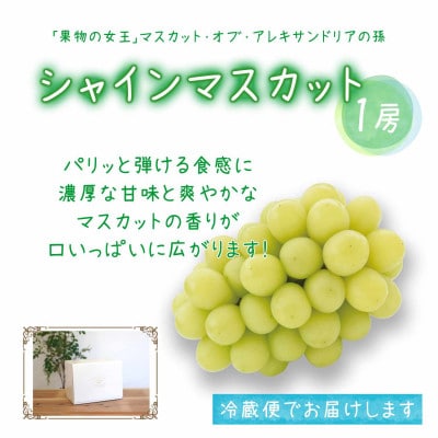 岡山　花笑み農園のブドウ『園主おすすめシャイン親子セット』1kg(2房)　2M-1SR【配送不可地域：離島・北海道・沖縄県】