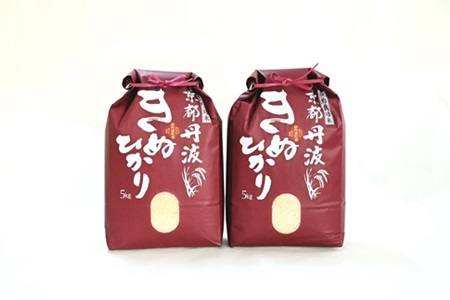 【12回定期便】 京丹波きぬひかり 10kg×12カ月連続 合計120kg 令和8年産 [216MB002R]