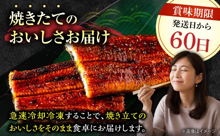 国産 うなぎ 蒲焼 大2尾 合計 320g (1尾あたり 160g以上)