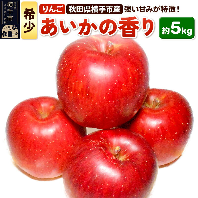【ふるさと納税】【先行受付】12月上旬より発送 希少品種！秋田県横手産 りんご あいかの香り ご家庭用 約5kg
