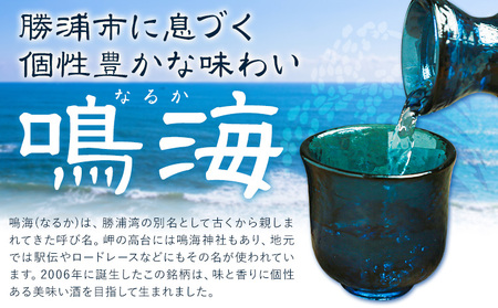 鳴海 きもと純米大吟醸 720ml 1本 有限会社 滝口商店《30日以内に出荷予定(土日祝除く)》千葉県 勝浦市 日本酒 酒 純米 大吟醸 きもと