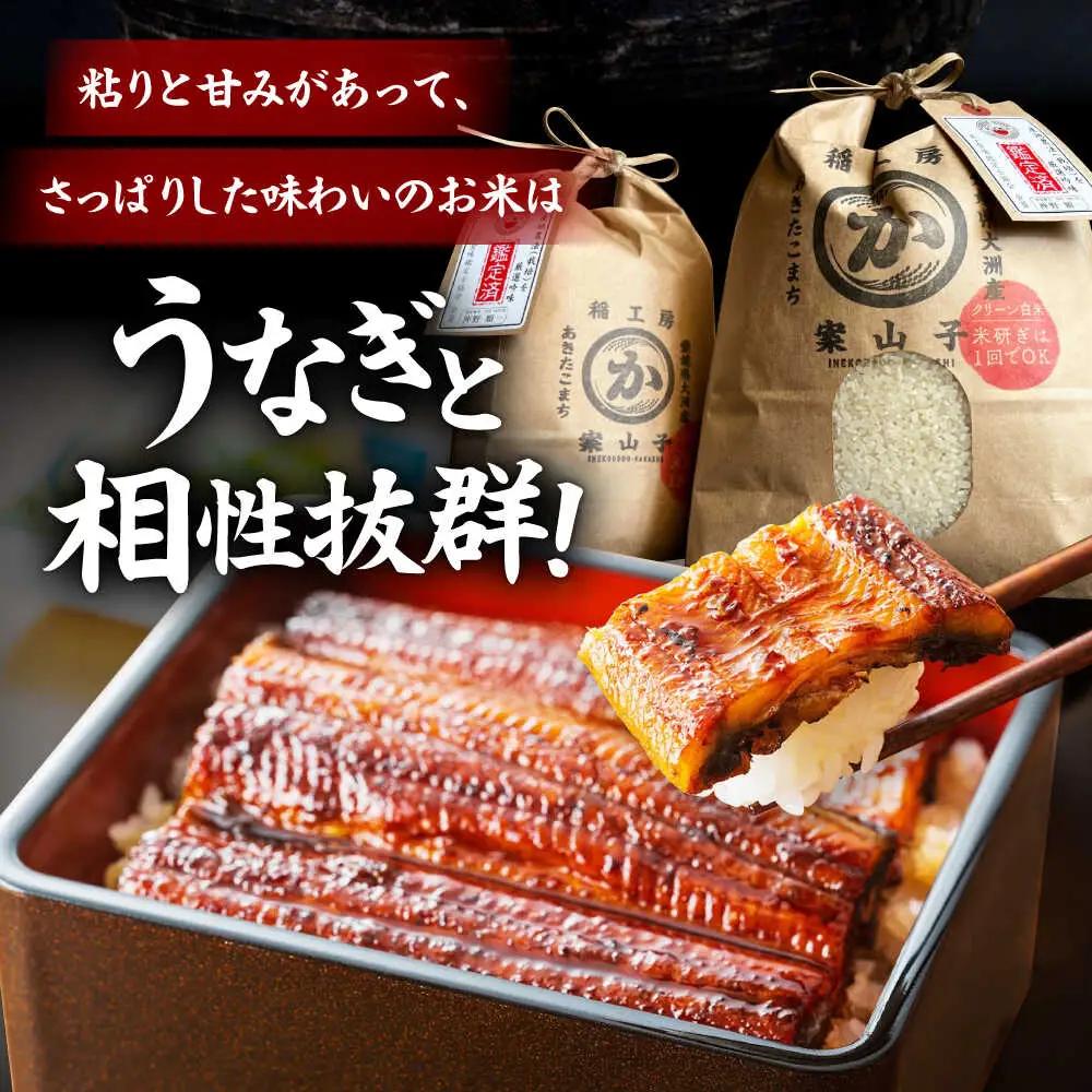 鰻 定期便【全3回】うなぎ蒲焼き（4尾）＋お米（5kg）[AGAH009]