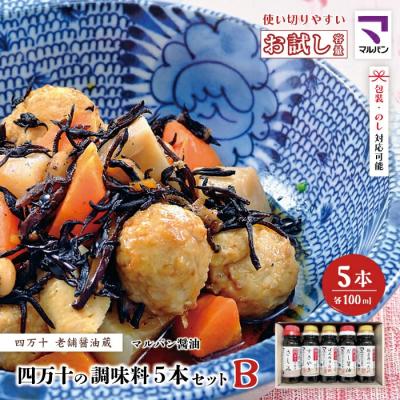 ふるさと納税 四万十市 【お試し・少量タイプ】 四万十の調味料5本セットB(各100ml)