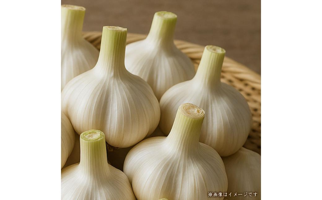 
                  【新物】生にんにく 約1kg
                