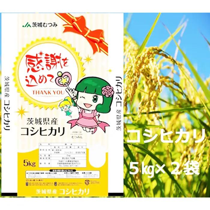 【令和7年産】茨城県産コシヒカリ10kg（5kg×2袋）精米 JA茨城むつみ ／ こしひかり 令和7年 新米 米 お米 おこめ こめ コメ 精米 白米 ご飯 国産米 10kg 10キロ おいしい お取