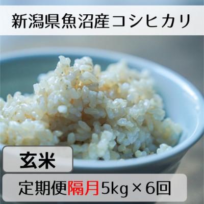 ふるさと納税 十日町市 【2ヵ月毎定期便】新潟県魚沼産コシヒカリ「山清水米」玄米5kg全6回