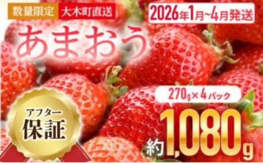 福岡産 あまおう いちご 270g×4パック 1080g