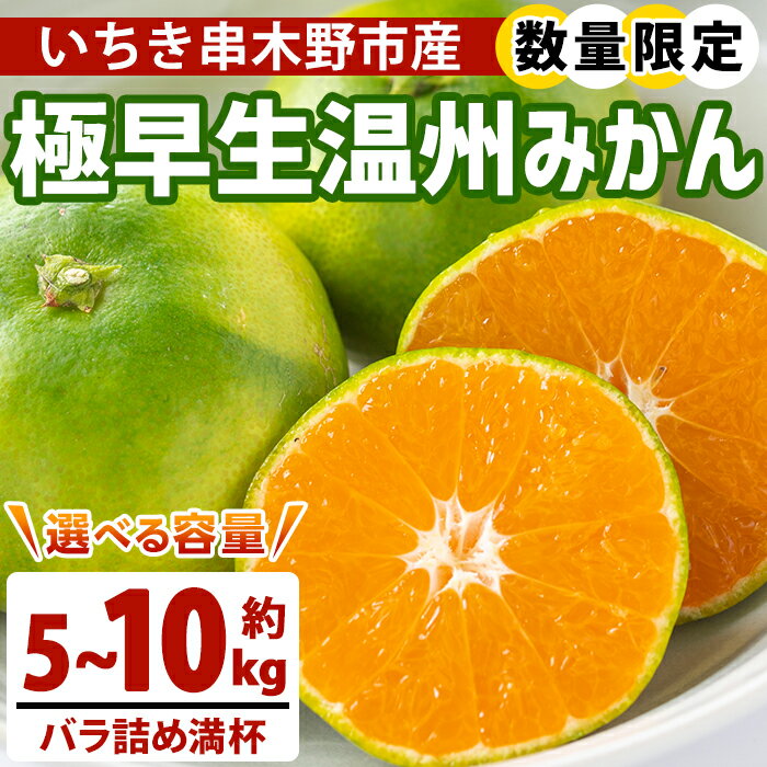 【ふるさと納税】＜先行予約受付中！2025年10月中旬頃より順次発送予定＞＜容量選べる！＞極早生温州みかん(約5kg / 約10kg) 国産 鹿児島県産 いちき串木野市産 蜜柑 みかん ミカン うんしゅう 柑橘 柑橘類 果物 果実 フルーツ 産地直送 数量限定 期間限定【池之上果樹園】