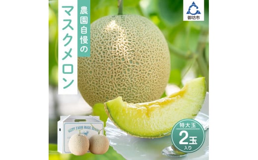 農園自慢の『マスクメロン』(アールスメロン)特大玉×2玉入り《先行予約》2026年6月下旬から順次発送【配送不可地域：北海道 ・青森・秋田・岩手・沖縄・離島】